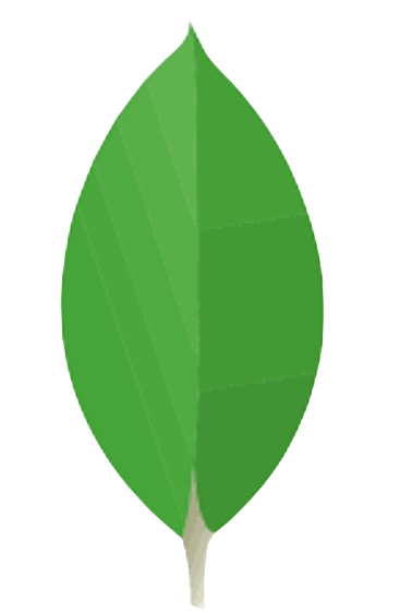 image-mongodb